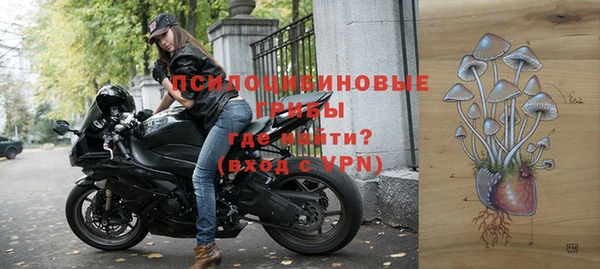 первитин Горнозаводск