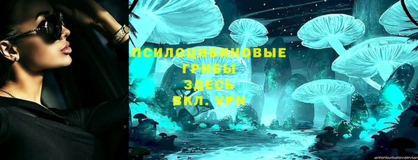 шишки Навашино