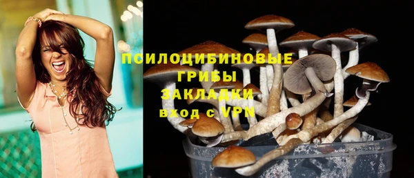 прущая мука Нефтегорск