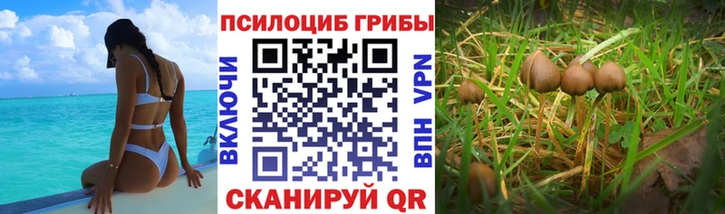 Галлюциногенные грибы ЛСД  Миньяр 